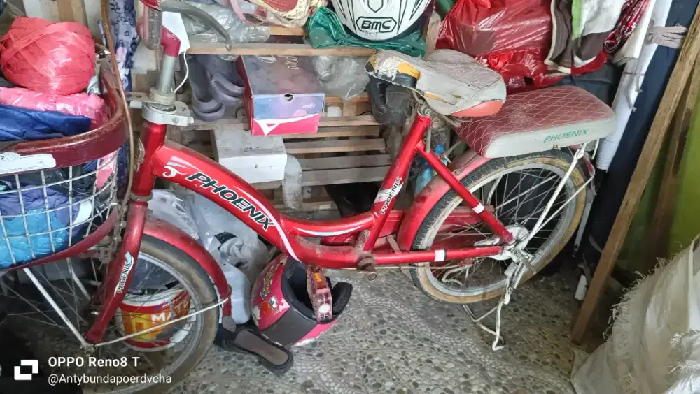 Sepeda mini phoenix uk.24