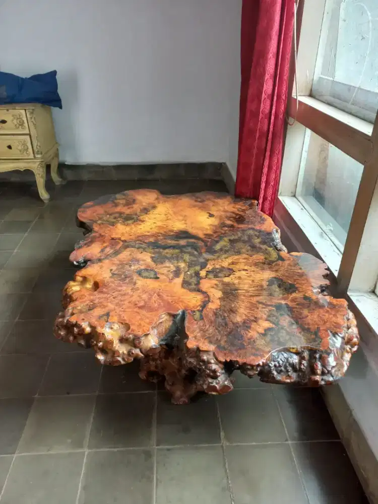 Meja akar dari Eropa