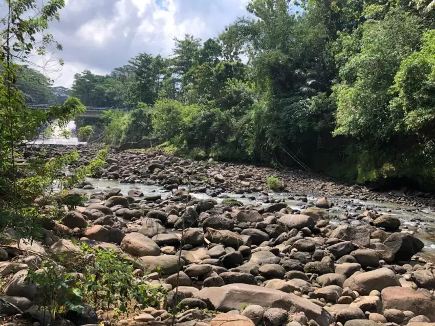 Jual tanah kebun los sungai termurah di tabanan bali.