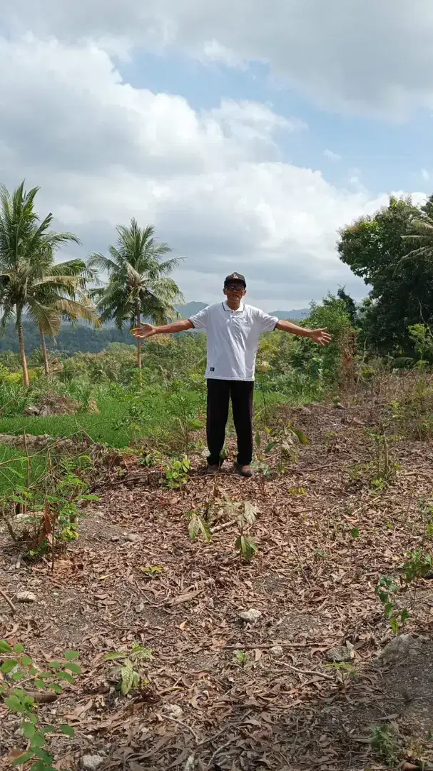 Tanah dengan View persawahan sangat indah
