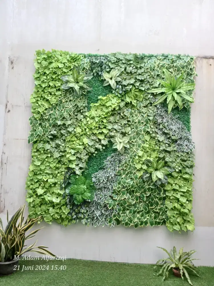 Pemasangan Vertical Garden Di Dinding Yang Kumuh