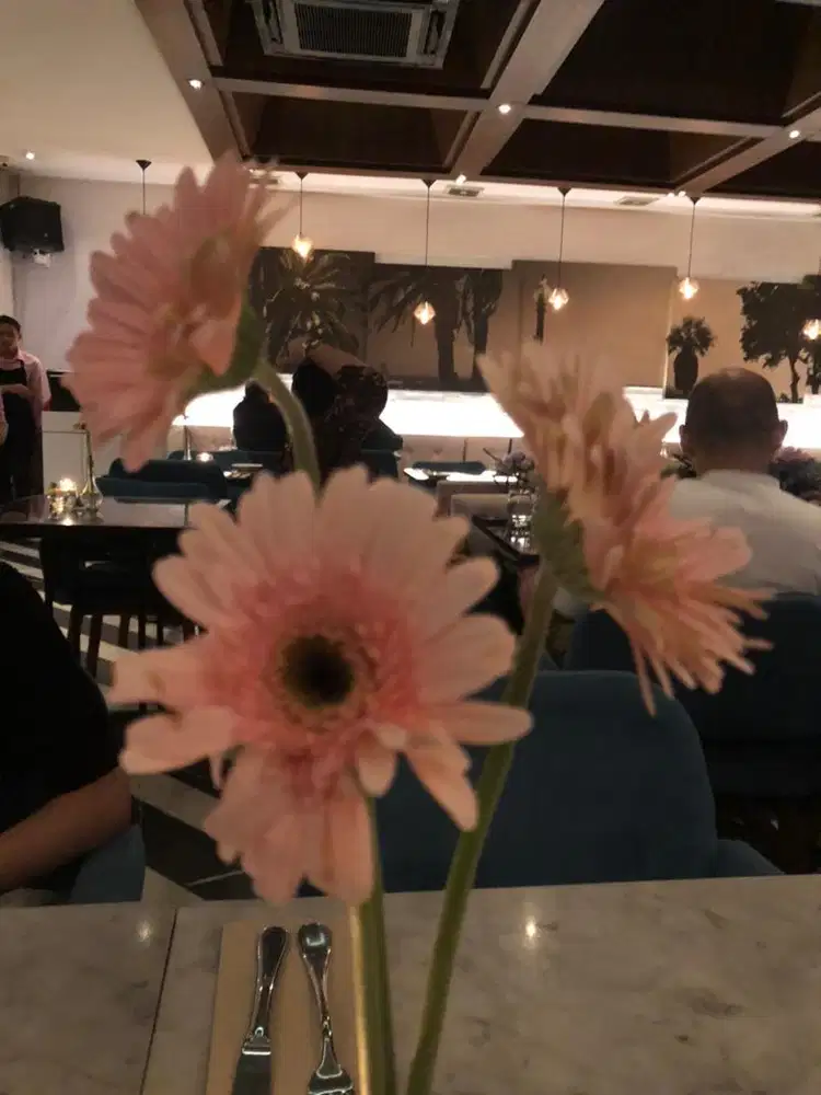 asisten Rumah Tangga menginap