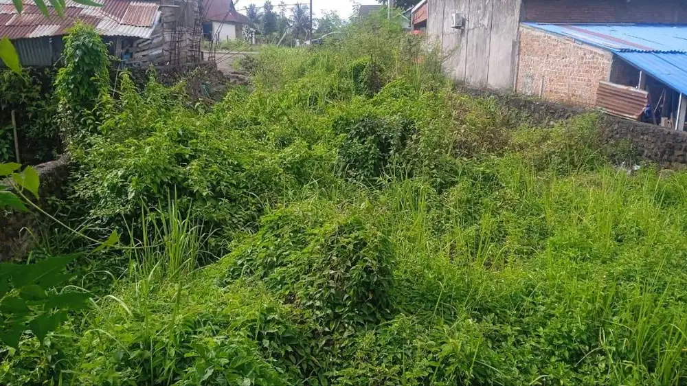 Tanah Strategis Pinggir Jalan Raden Fatah