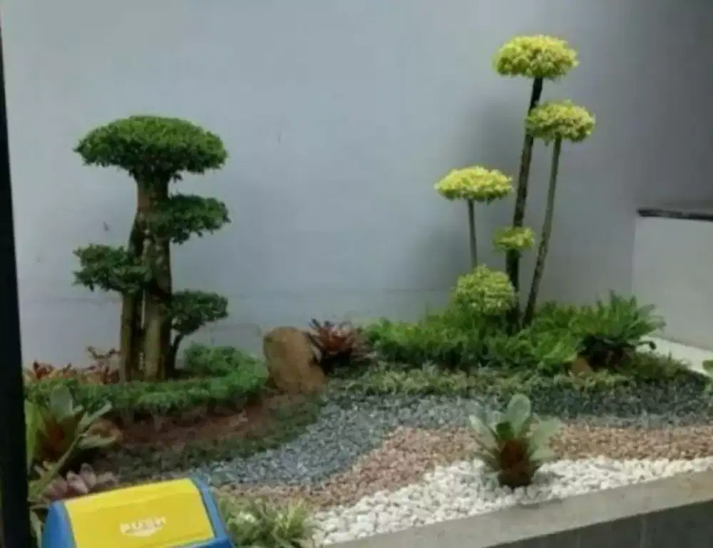 Tukang taman medan/luarkota