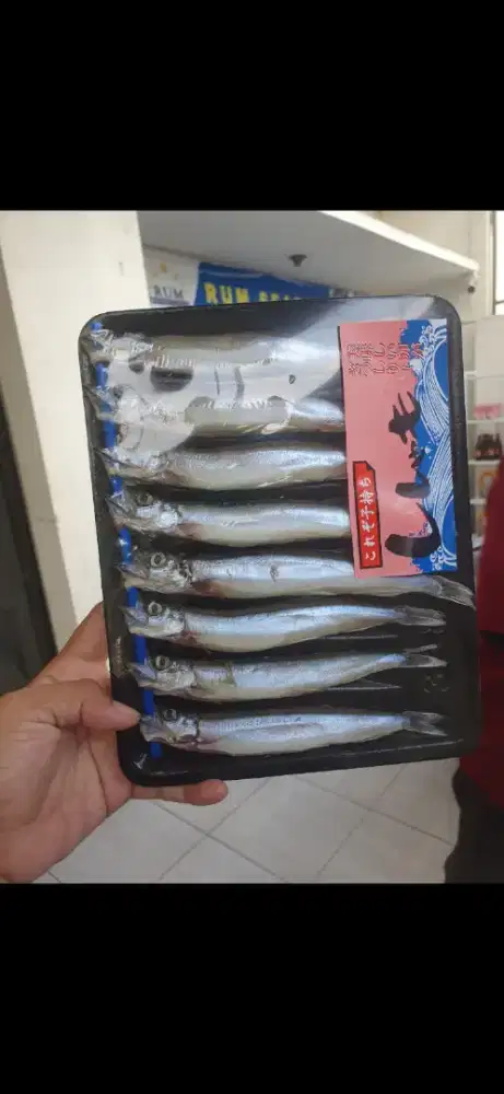 Ikan Shisamo TERLARIS