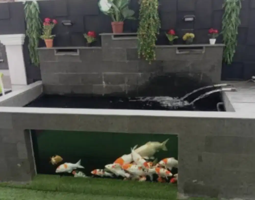 Kolam koi dan Taman