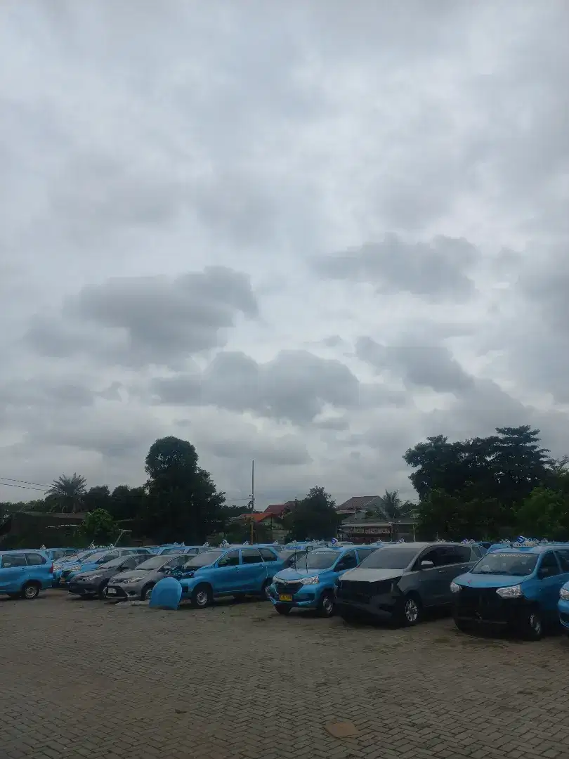 LOWONGAN DRIVER TAKSI BLUEBIRD TAMBUN