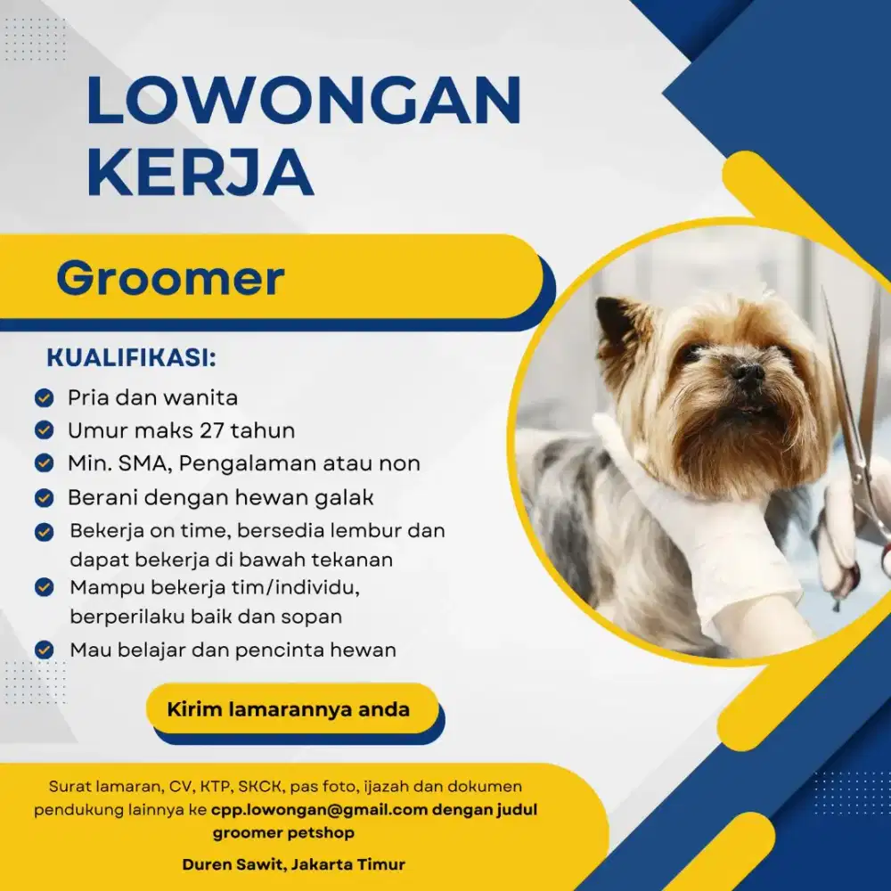 Groomer kucing anjing kelinci