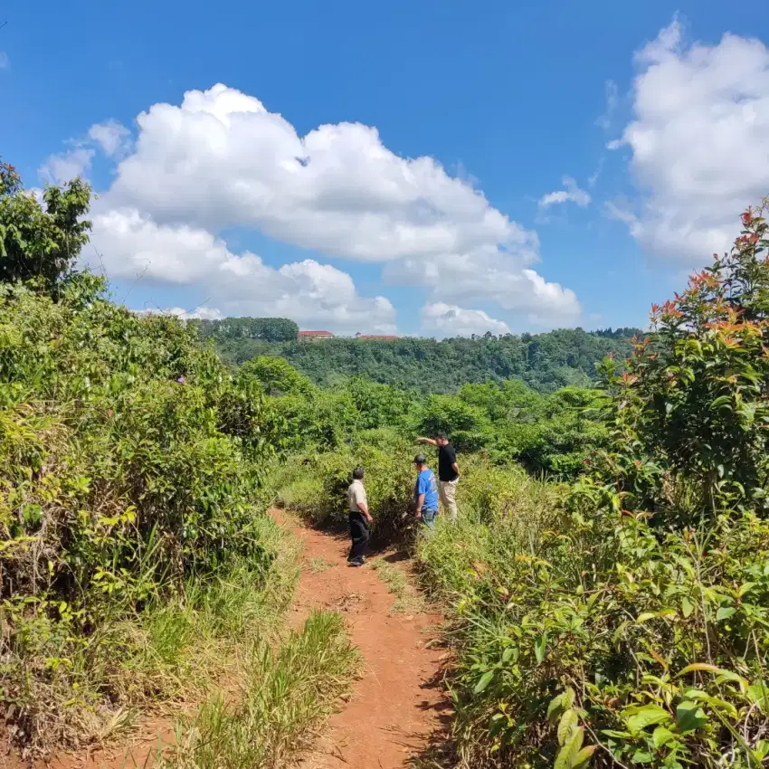 TANAH KEBUN || Ideal untuk kebun atau kandang