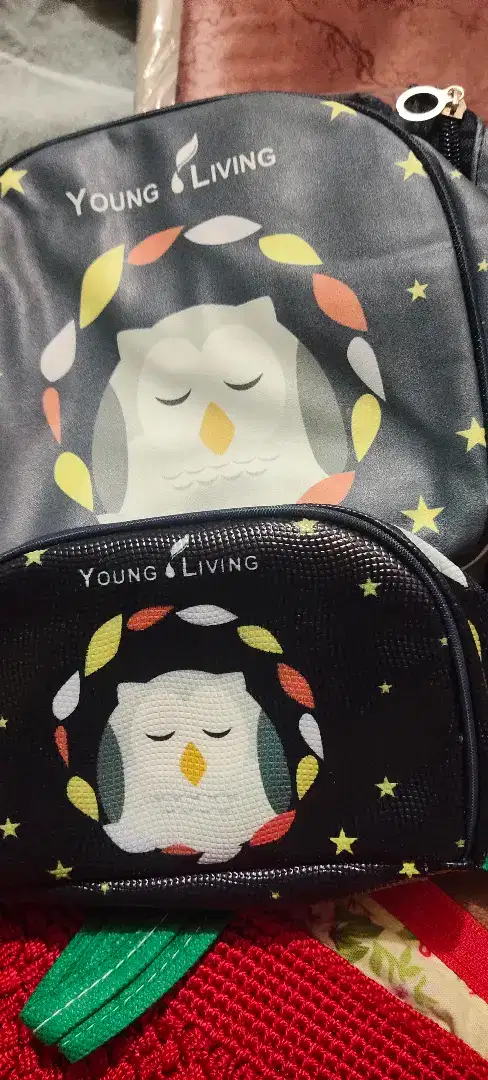 Tas traveling YL The owl