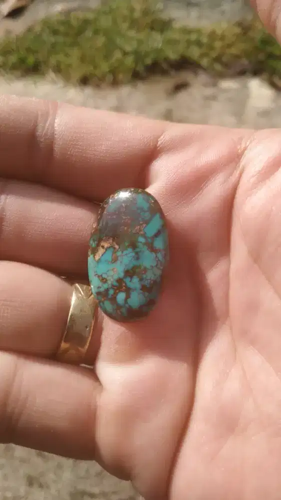 Natural Pirus Persia