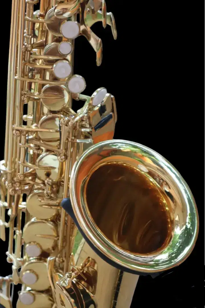 zeff France alto Saxophone new model Zas-600