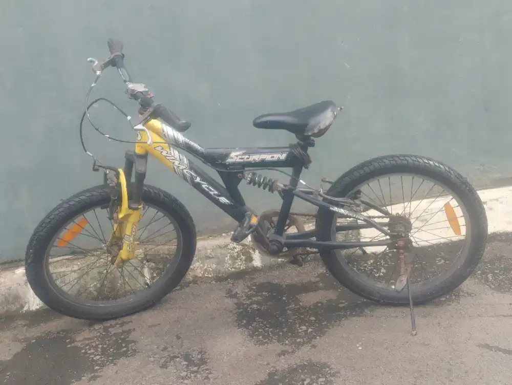 SEPEDA ANAK 20 Inchi