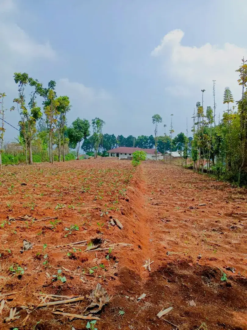 Jual Lahan di Arjasari Banjaran Kab. Bandung