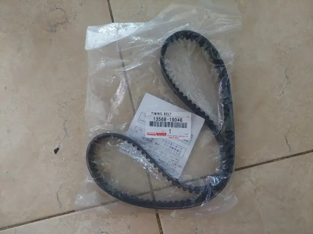 Timing Belt Soluna Original