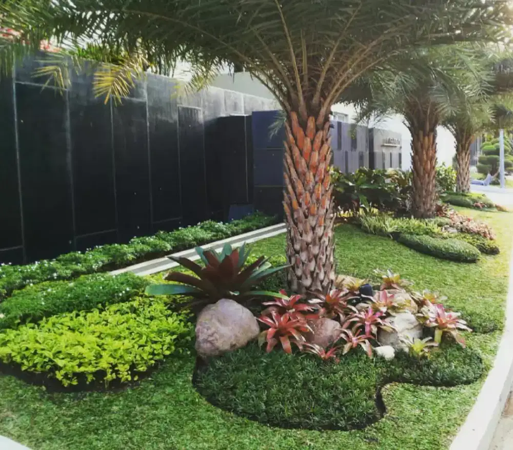 Petani pohon kurma, penghijauan