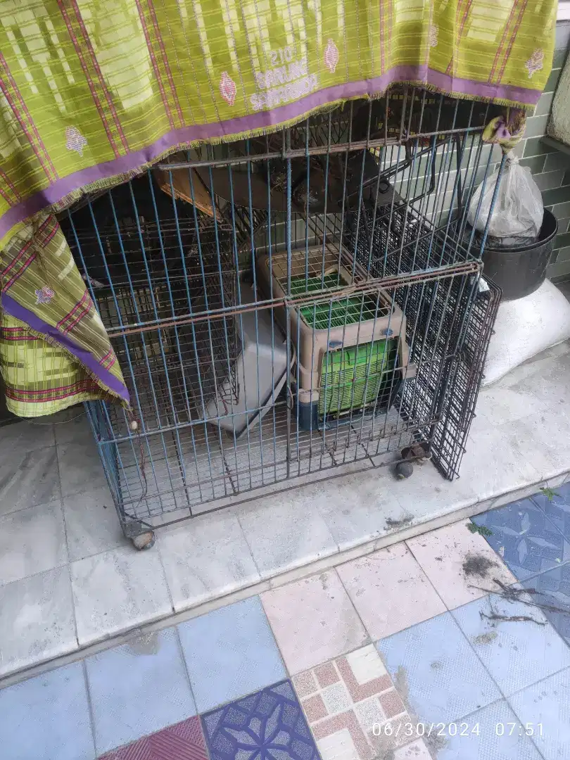 Kandang kucing atau kelinci plus cargo Dan littering box paketan murah