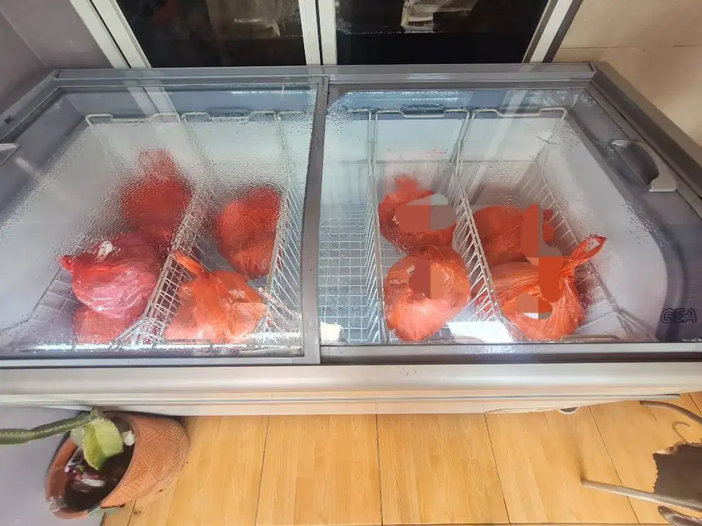 FREEZER GEA SD 500by (second)