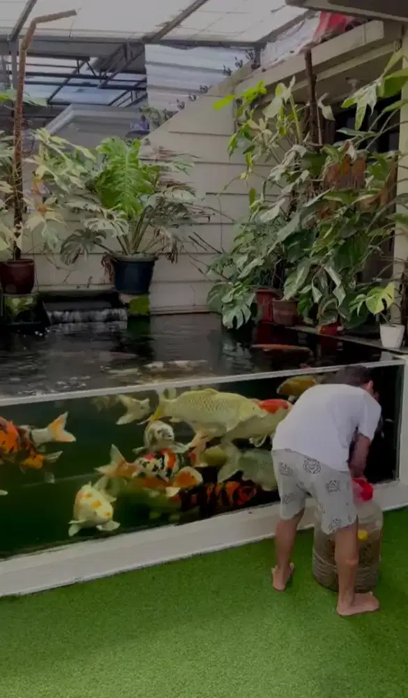 Kolam koi kaca bening