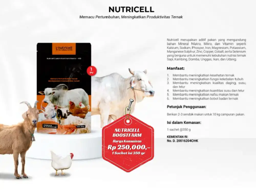 Dijual Nutrisi untuk produktivitas Ternak