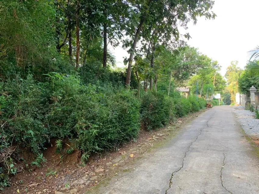 Tanah Pekarangan/Kering Dengan Lebar Muka 40m Dekat Jalan DPU