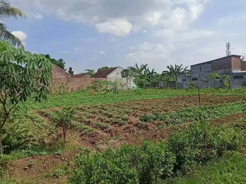 Tanah kampus murah cocok untuk kost