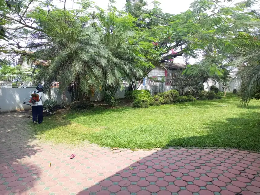 Terima jasa potong rumput dan pembuatan taman