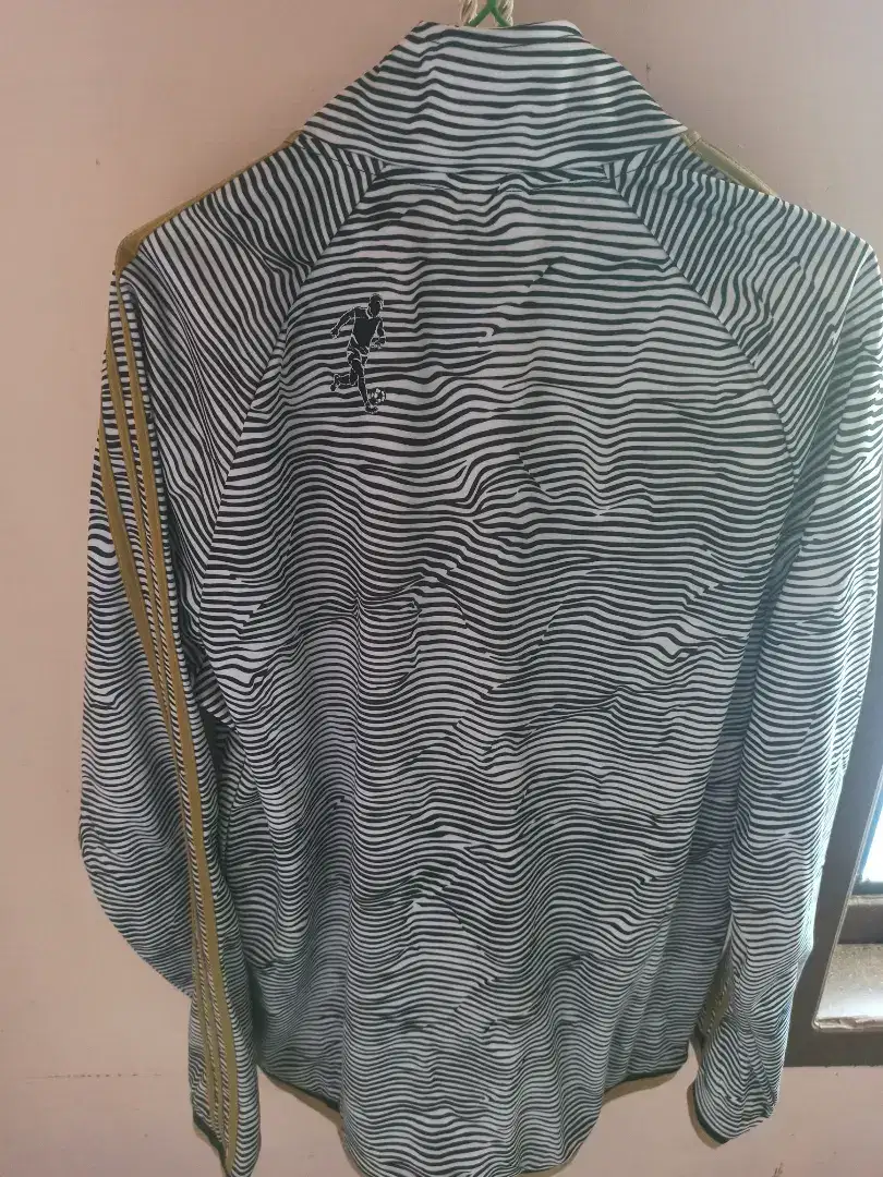 Jaket motif zebra