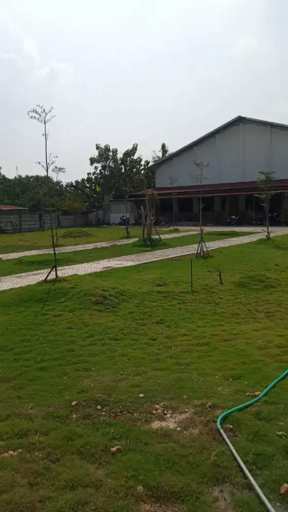 Perawatan taman, kolam renang, kolam ikan