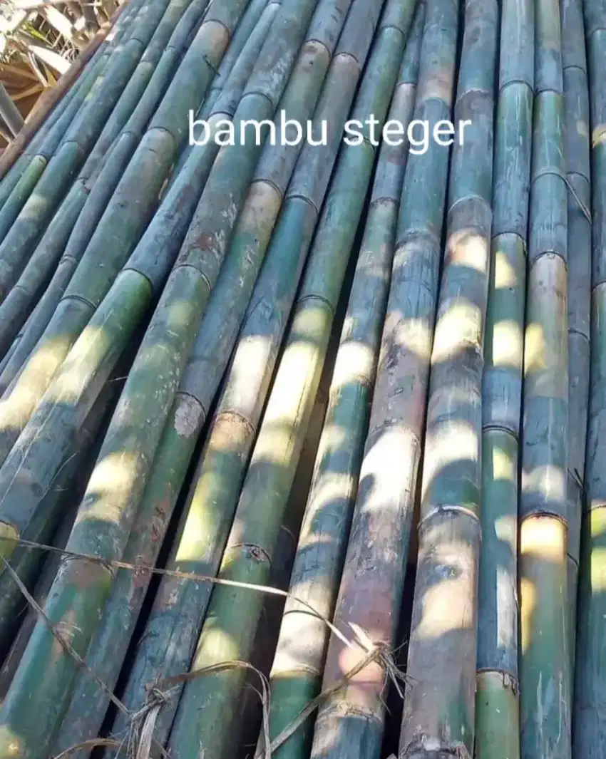 Bambu Steger , Tiang Cor , dll