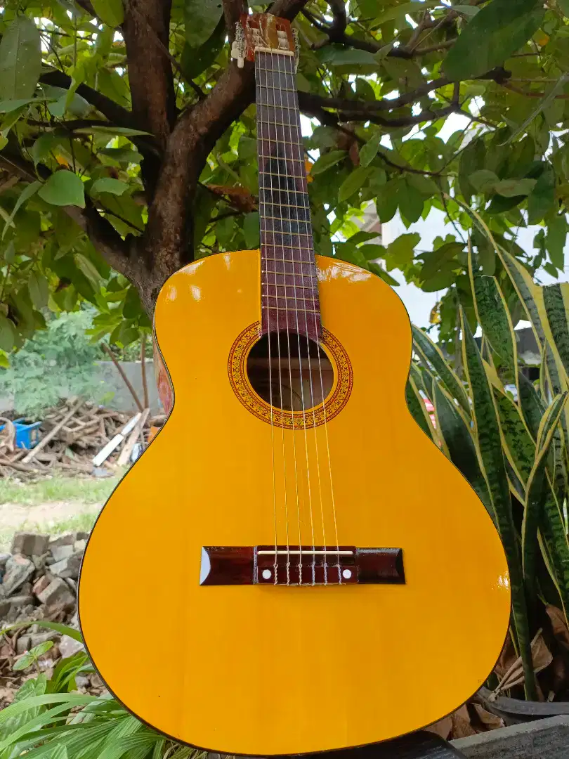 Gitar Akustik Clasic Nilon Yamaha C315 Kuning