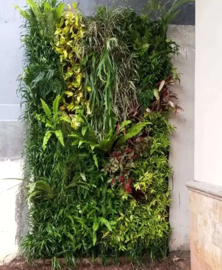 Tukang taman vertical garden se-jabodetabek/vertical cantik