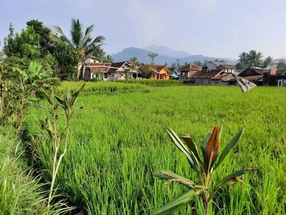 Tanah sawah siap dikavling 400ribu/meter