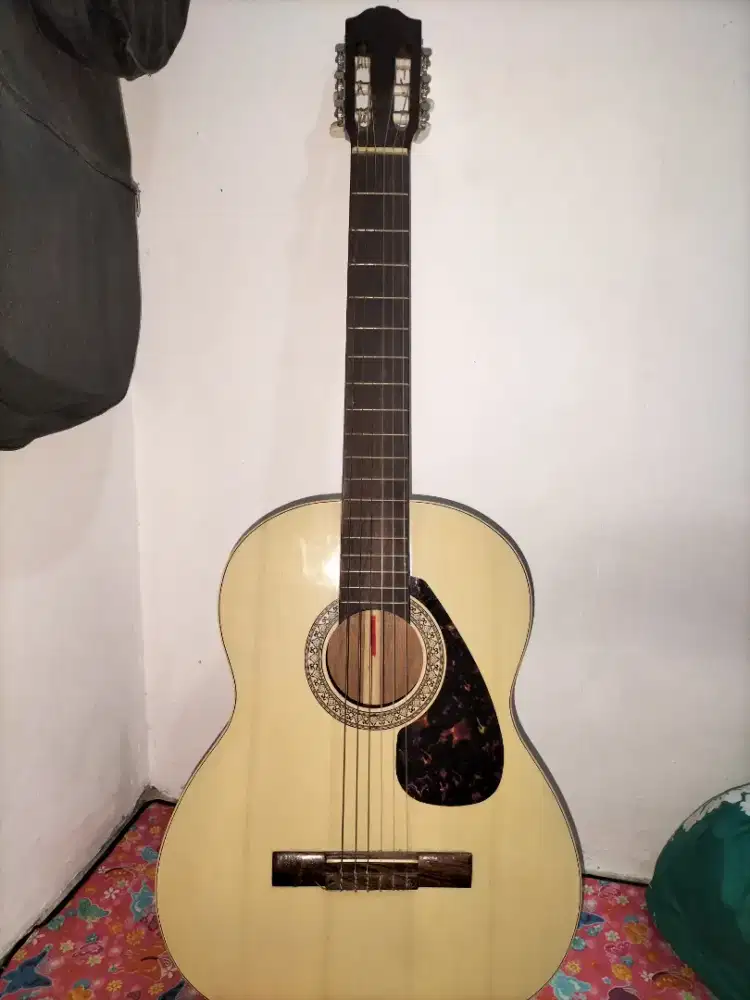 Prloved Gitar custom