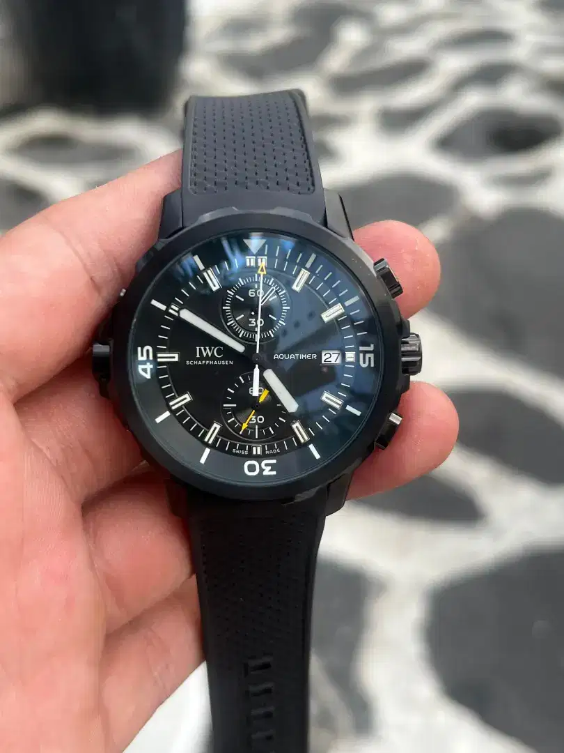 JAM TANGAN IWC CHARLES DARWIN