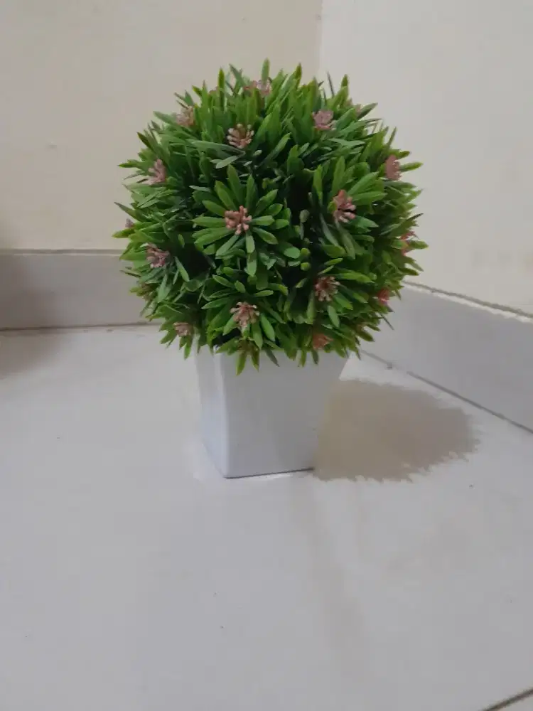 Pot tanaman dekorasi rumah