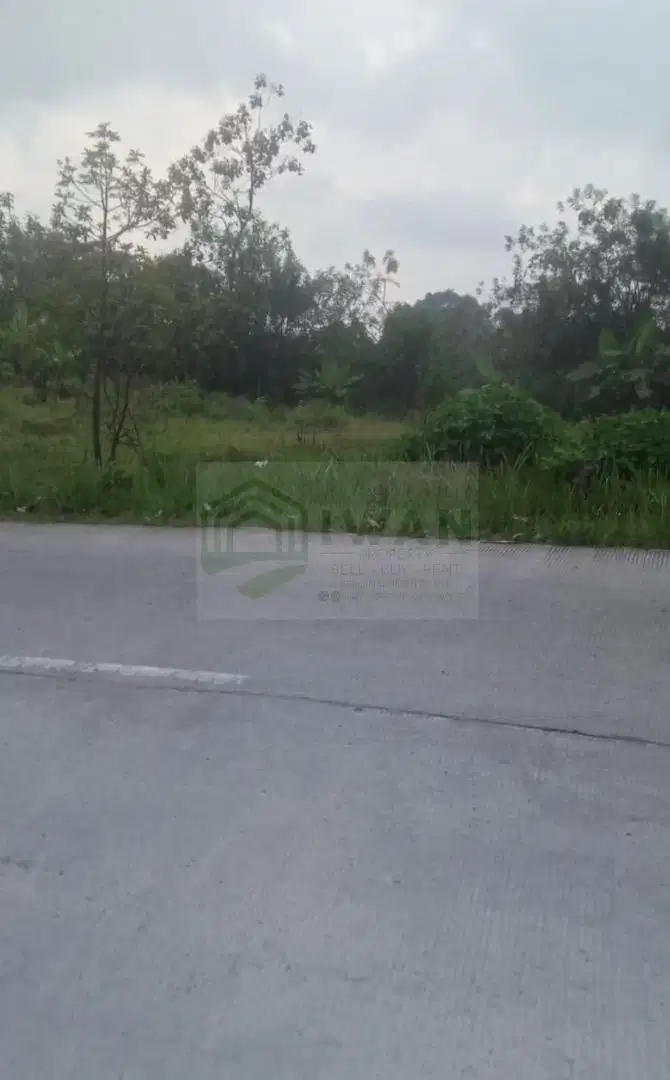 Jual Cepat Tanah BU Pinggir Jalan Raya Provinsi