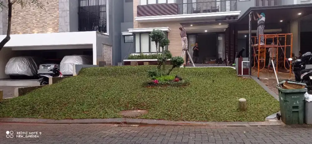 Taman rumput minimalis