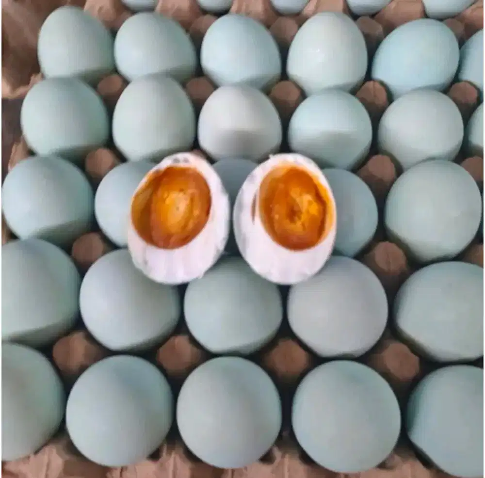 Telur Asin Masir dan Berminyak Kualitas Premium Fresh