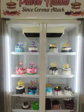 Showcase 2 pintu