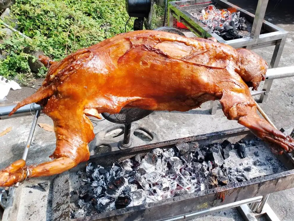 KAMBING GULING HALAL JOGJA