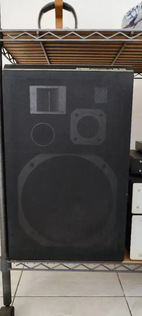 Speaker Pioneer CS303