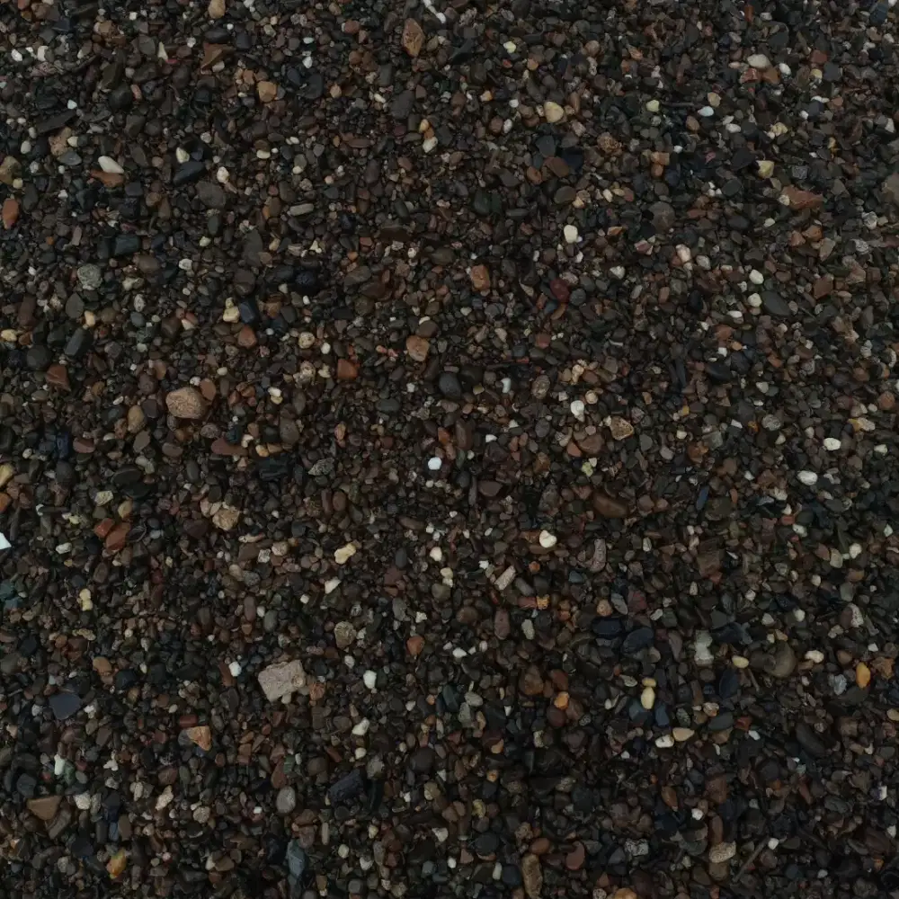 Coral pop cron jagung hitam