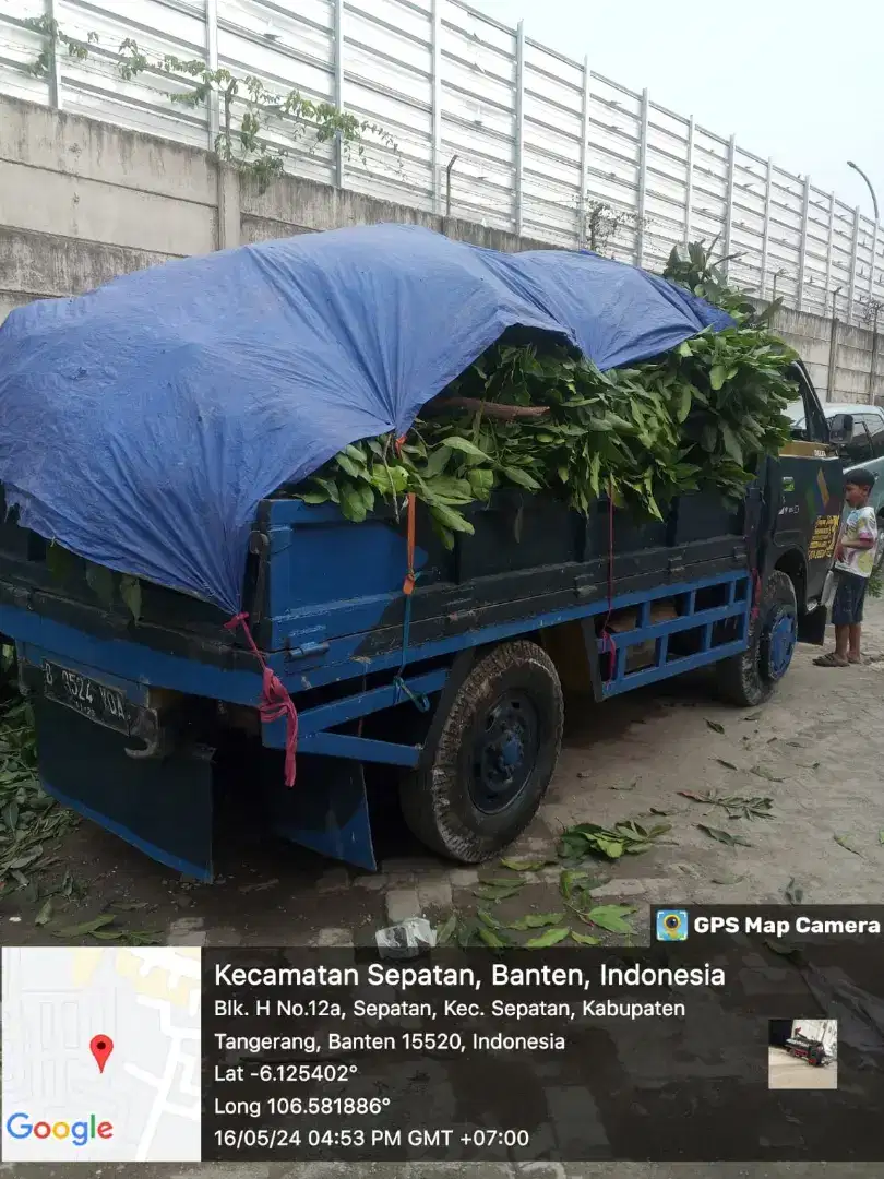 JASA BUANG PUING DAN SAMPAH PROYEK