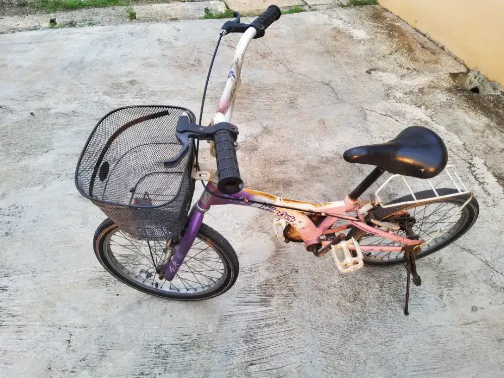 Sepeda cewe wym cycle 20