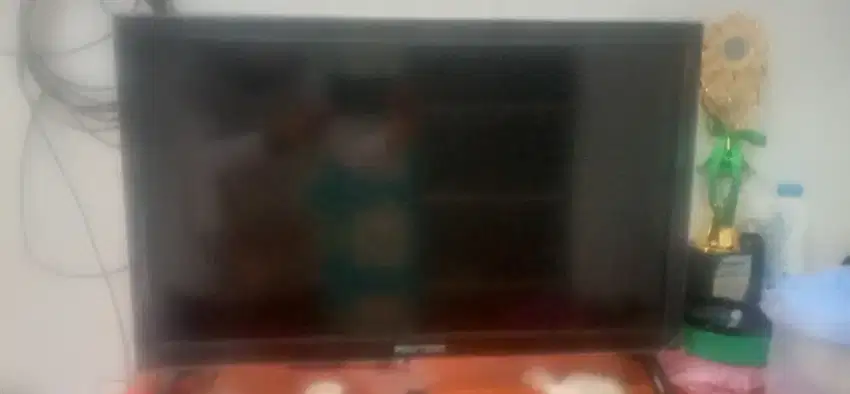 TV POLYTRON 24 INC
