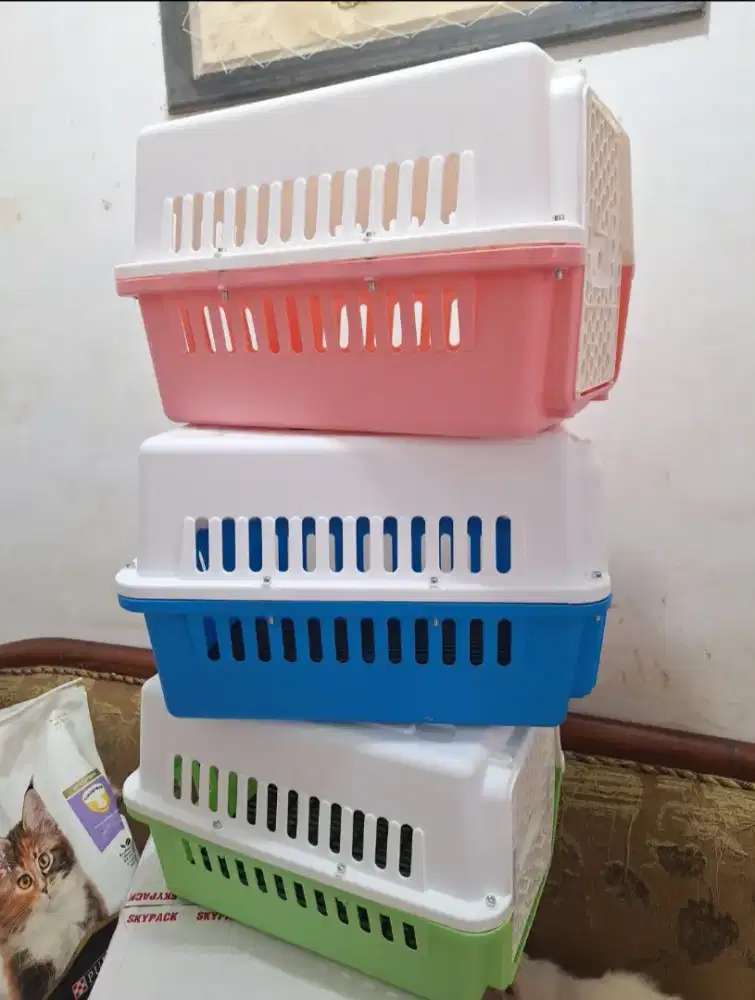 Per cargo kucing kelinci
