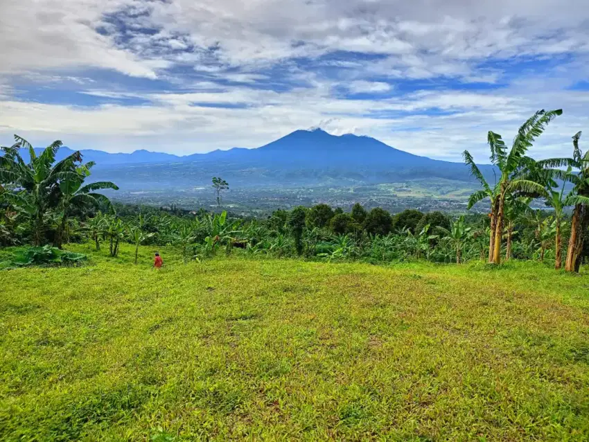 Tanah murah siap bangun untuk wisata+cafe+pertanian+berkebun full view