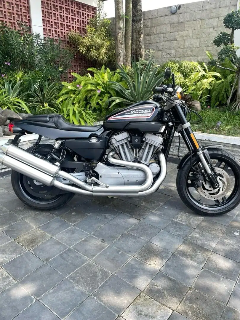 Harley davidson sportster 1200 XR