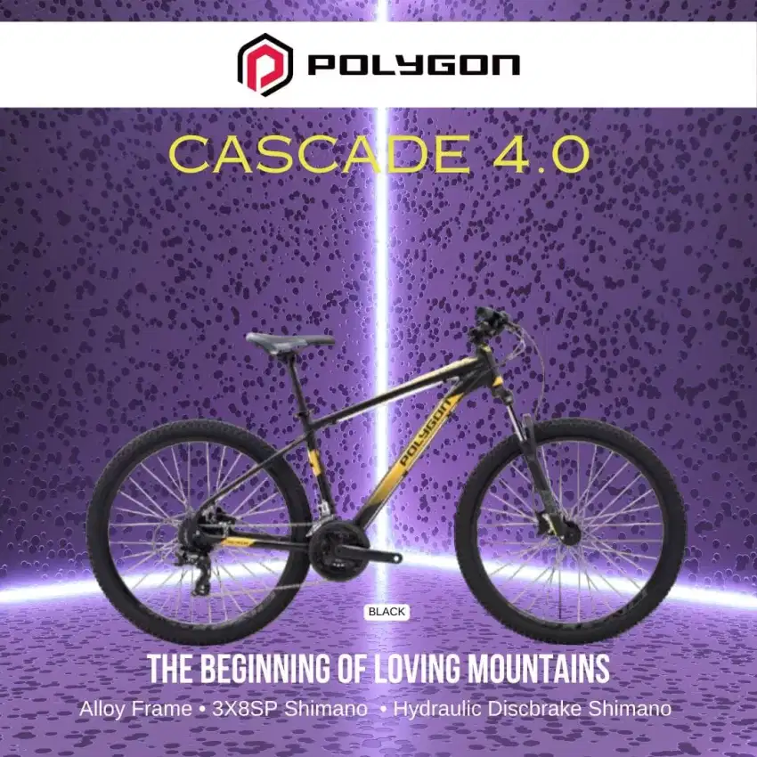 Polygon Cascade 4.0 27,5